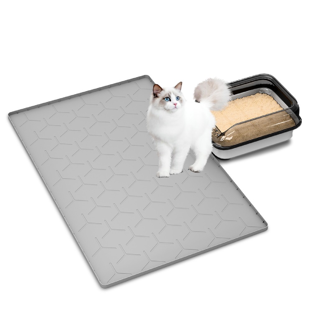 Product 6